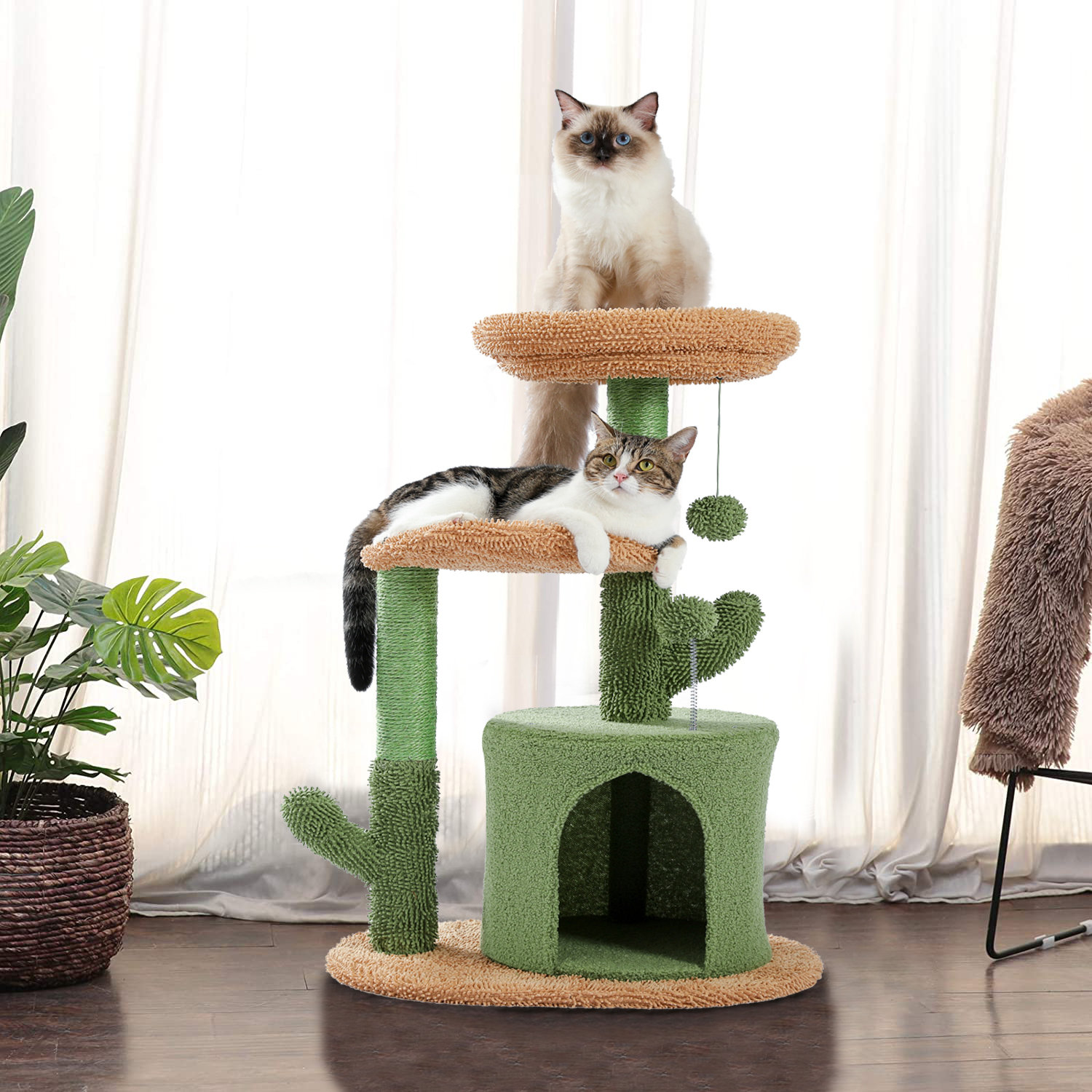 Tucker Murphy Pet™ Bonucci 32" Small Cat Tree Tower,Cactus Cat Tree
